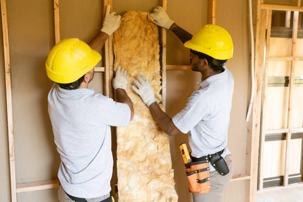 Insulation Removal & Installation